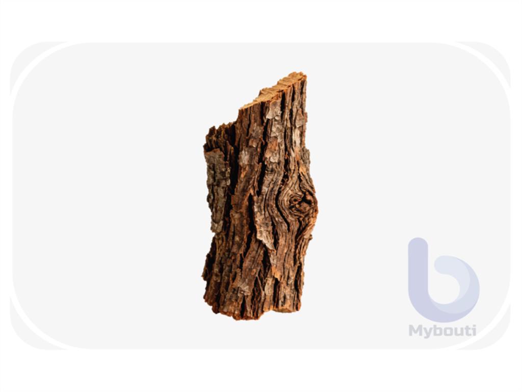 bark